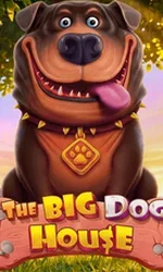 The Big Dog House